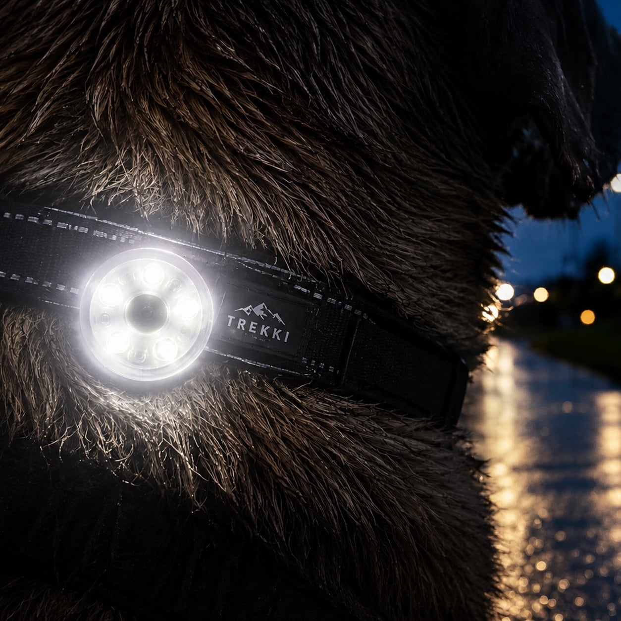 TREKKI 360° Rechargeable Dog Safety Light